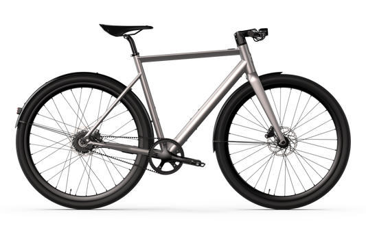 Desiknio Dopamine Mahle X35 Pinion 1.6 250Wh 6-speed