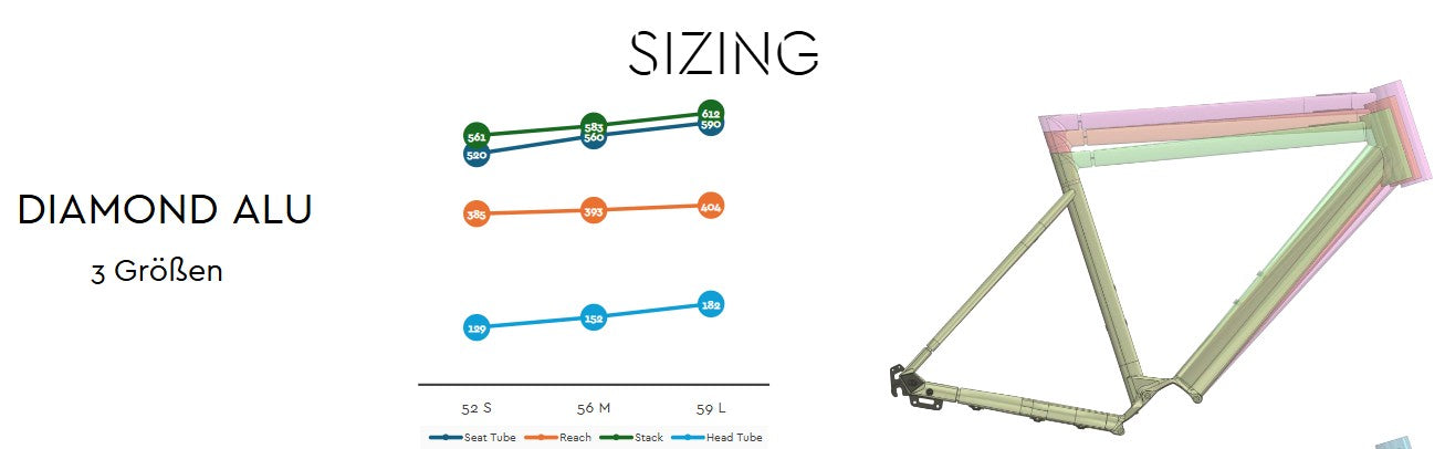 Desiknio Dopamine Mahle X20 Pinion 1.9 250Wh 9-speed 